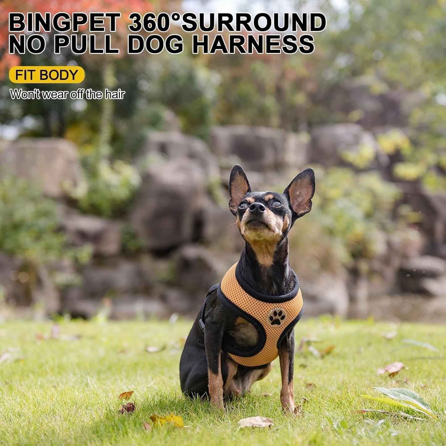 BINGPET No Pull Dog Harness, Soft Mesh Breathable All Weather Vest, Safety Protection Design, Durable Adjustable Step-in Easy Walk Dog Harness for Small Medium Large Dogs (Beige, S)