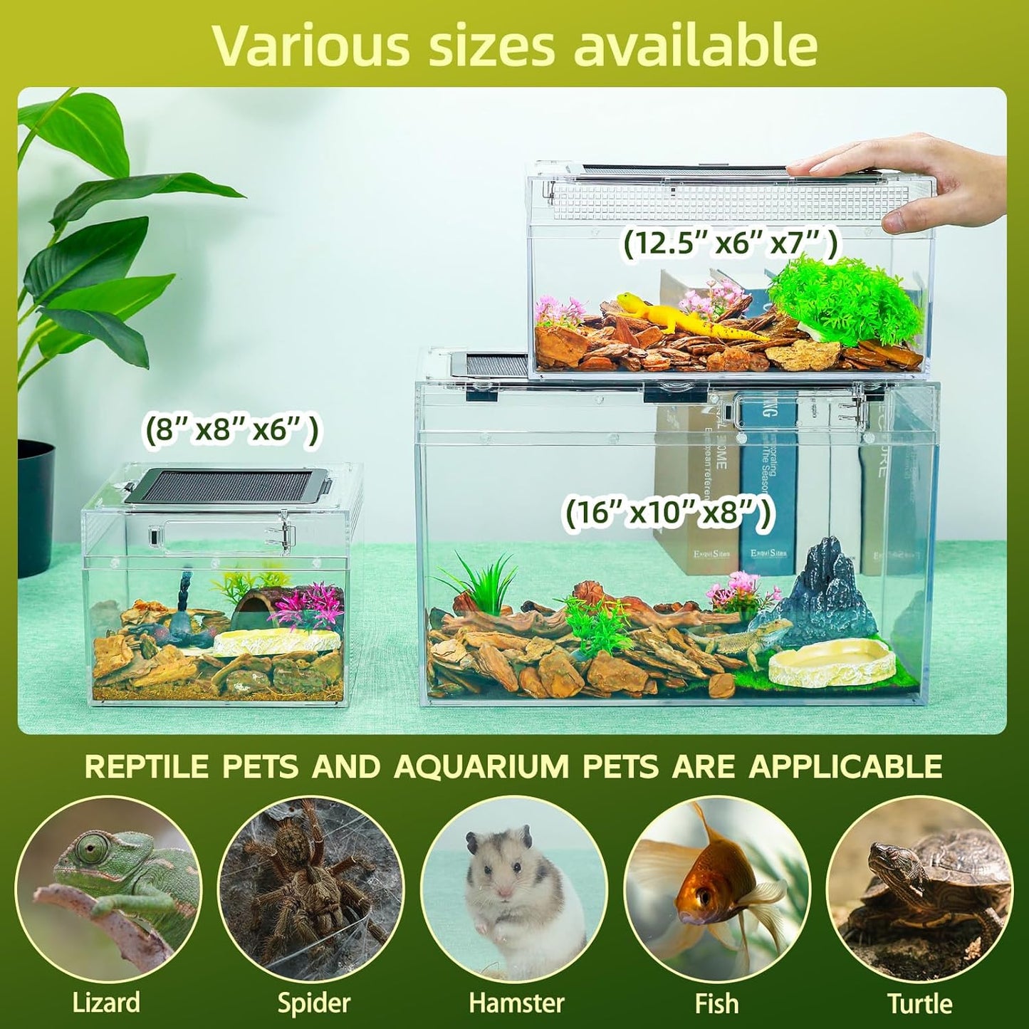 12.5''×6''×7'' Reptile Tank Kit with Heat Lamp, Spray Bottle, Shovel, Tweezers, Food Bowl, Hideout -Perfect for Geckos, Snakes, Lizards, Turtles, Jumping Spider,Milk Frog,Hermit Crabs