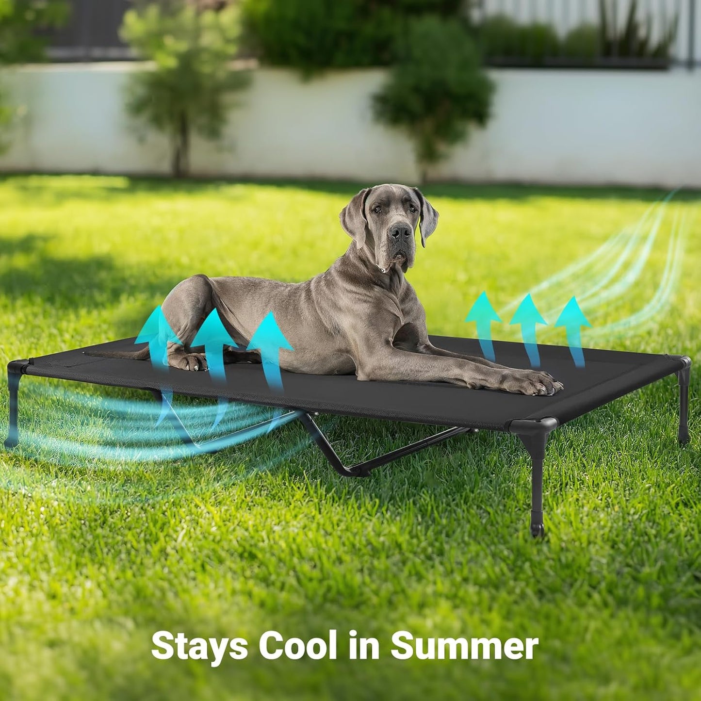 Veehoo XXL Outdoor Elevated Dog Cot Bed, Cooling Raised Pet Bed, Washable Breathable Mesh Hammock Bed with No-Slip Feet, Indestructible Ground Off Training Platform Cot-59"x37.5" Grey