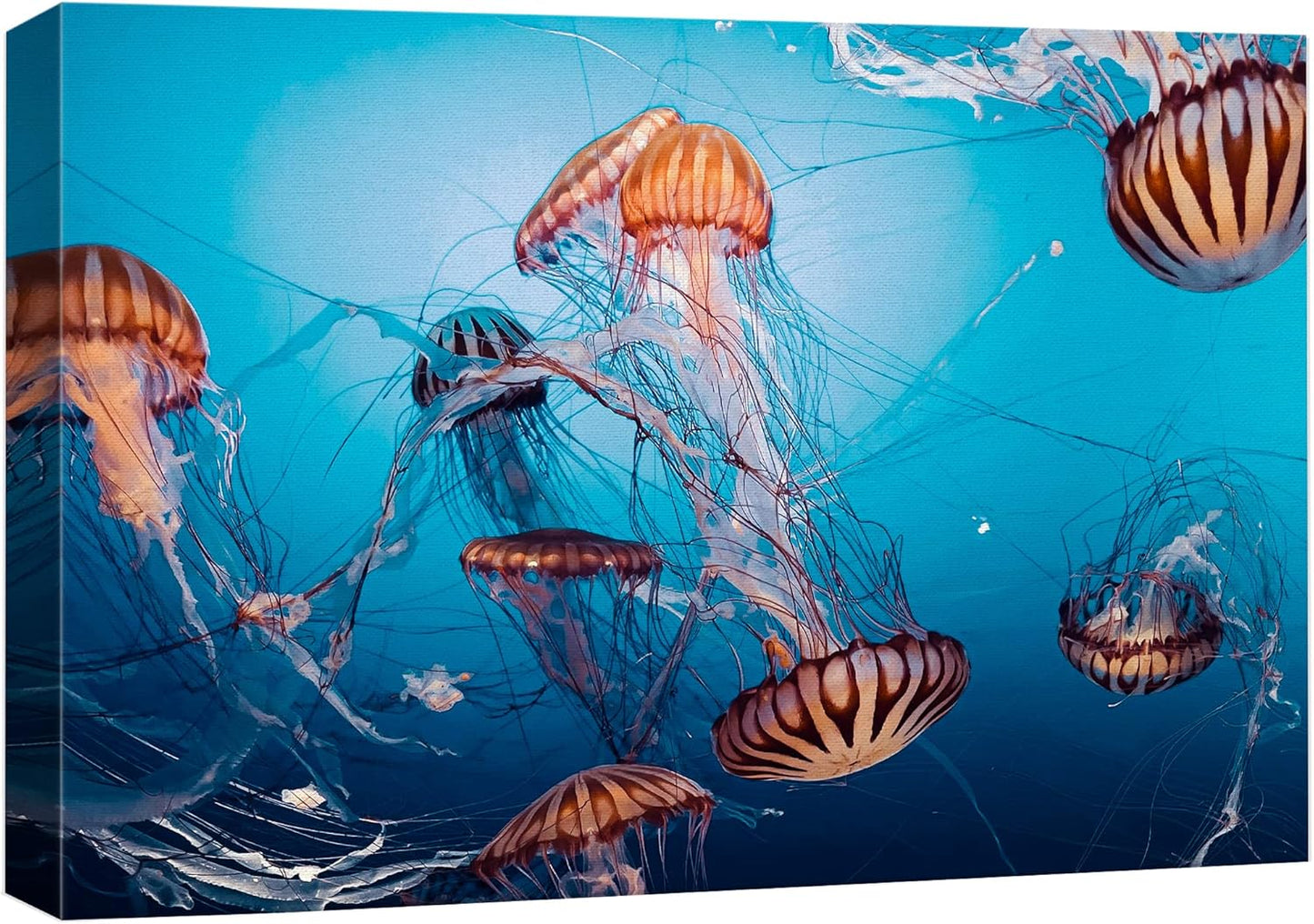 wall26 Canvas Print Wall Art Tiger Stripe Jellyfish Underwater Ocean Sea Nature Animals Photography Realism Rustic Scenic Landscape Wilderness Colorful for Living Room, Bedroom, Office - 24"x36"