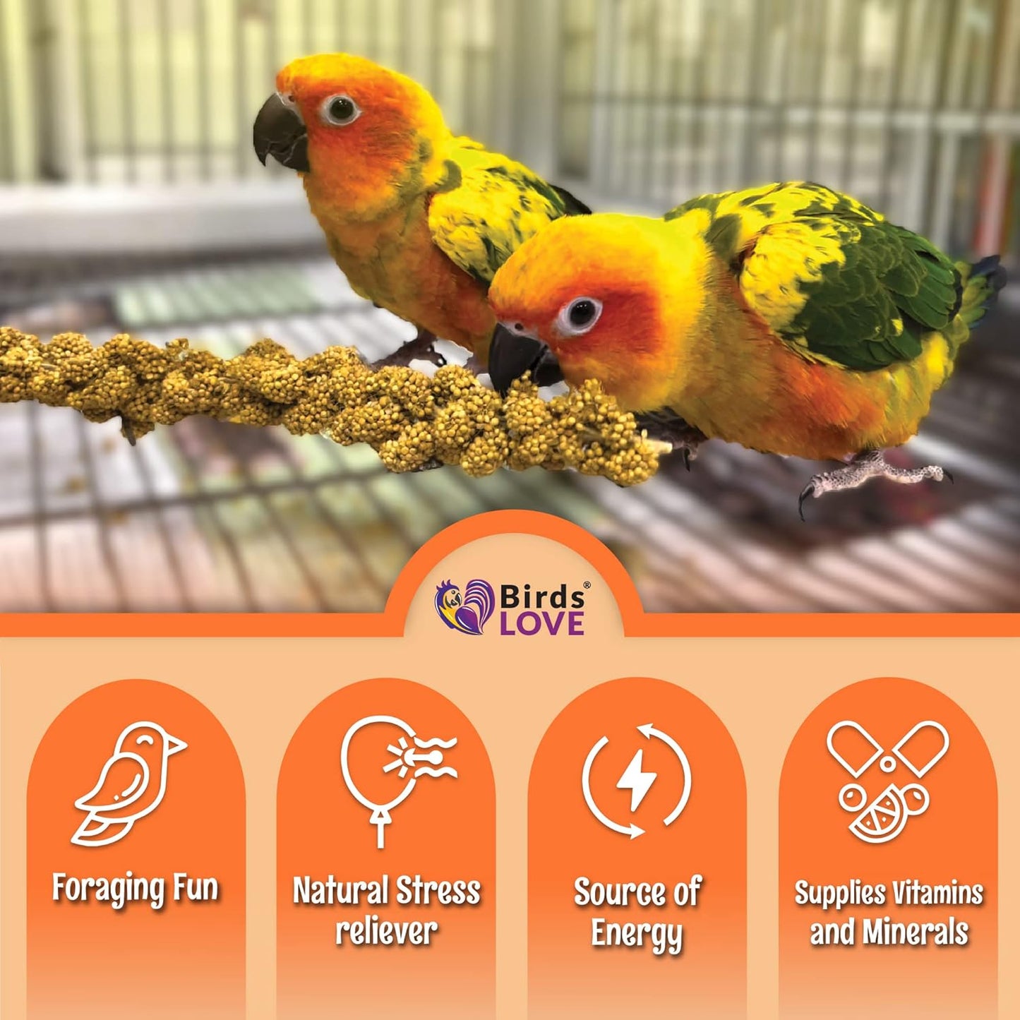 Birds LOVE Wholesome & Lovely Spray Millet Non-GMO for Birds Cockatiel Lovebird Parakeet Finch Canary All Parrots Healthy Treat - 2LBS