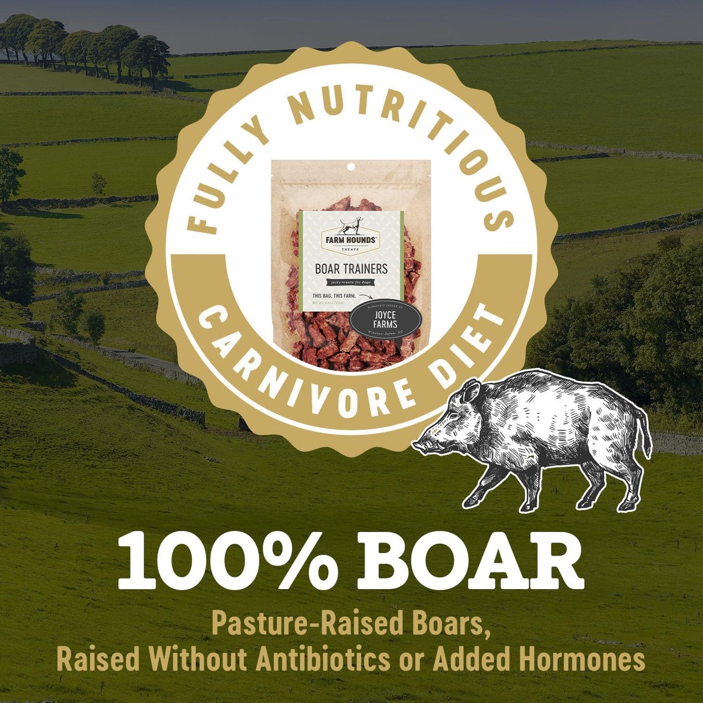 Farm Hounds - Boar Trainers - Premium Natural Jerky for Dogs - from 100% Humanely Raised Boar - Easy-Break - Great for Training & Treats - No Added Fillers - Made in USA - 4.5 oz - 1 Pack