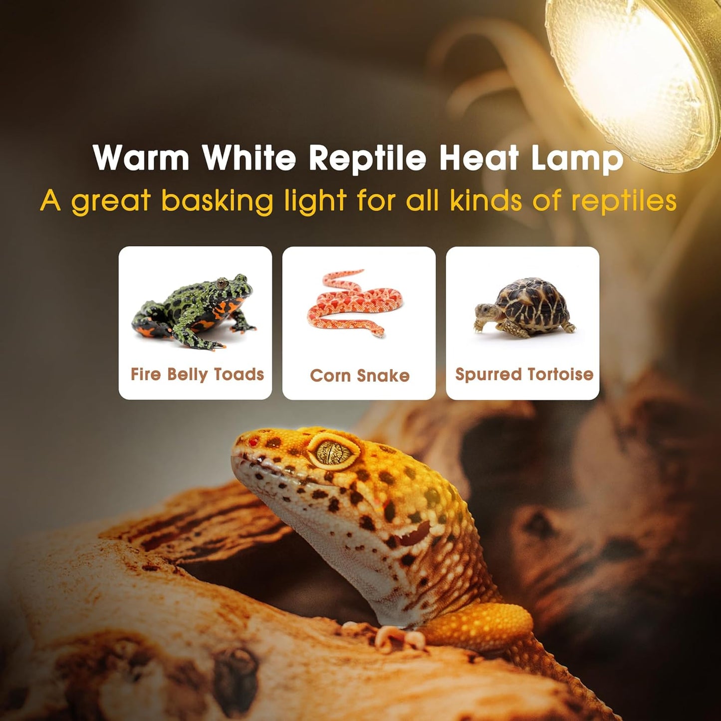 Reptile Heat Bulb [2 Pack], Reptile Light Bulbs 75W UVA UVB, Dimmable Heat Lamp Bulbs Basking Spot Light Bulb for Reptiles, Amphibian, Bearded Dragon, Lizard, Chicken
