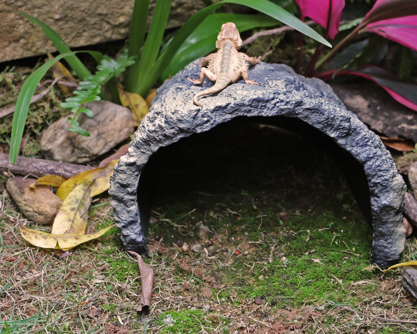 Rock Cave Habitat Hidden for Reptile and Amphibians.Terrarium & Aquarium Decor, Reptile hideout Hide Cave, Perfect for Bearded Dragons,Lizards,Snakes,Turtles,Geckos,Tortoises,Small Animals -Large Size