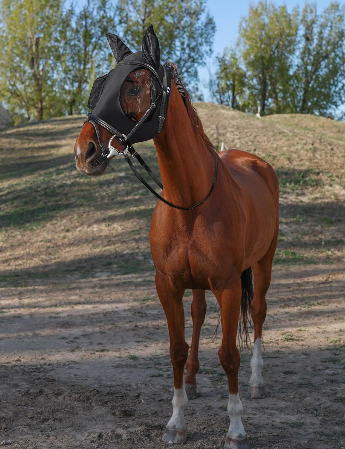 Horse Fly Mask with Ears, UV Protection for Horses, Elasticity with Big Mesh Eye Covers, Snug Fitting Comfortable Breathable Lightweight for Horses Black Cob