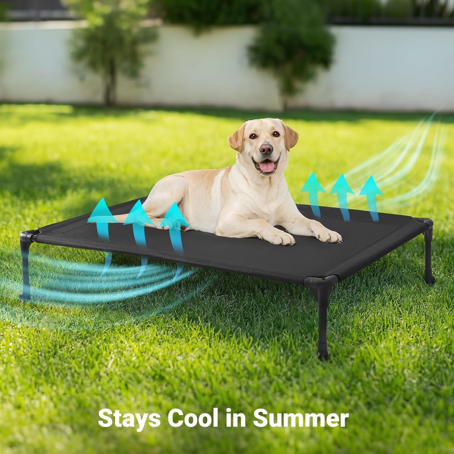 Veehoo Outdoor Elevated Dog Cot Bed, Cooling Raised Pet Bed for Large Dogs, Washable Breathable Mesh Hammock Bed with No-Slip Feet, Indestructible Ground Off Training Platform Cot-42"x30" Black