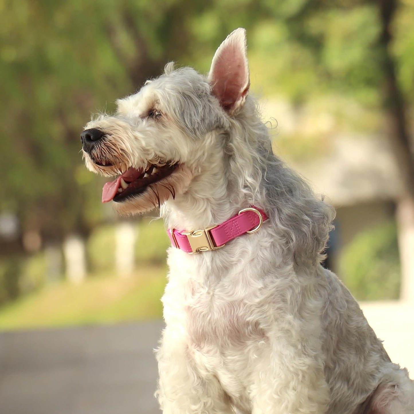 PET ARTIST Soft PU Leather Dog Collar, Bright & Stylish Hot Pink Dog Collar Girl with Quick Release Rose Metal Buckle, Nylon Padded Durable Pet Collars Adjustable for Medium Dogs, Neck Fit 13-19"