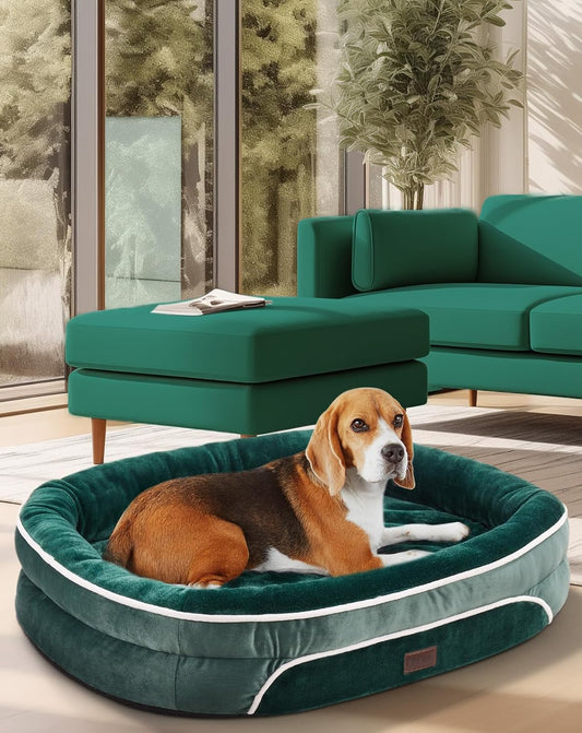 OhGeni Orthopedic Dog Couch Pet Sofa Large Sized Cat Beds with Comfort Foam Support, Soft Comfortable Fabric, Machine Washable Waterproof Removable Cover, 35-Inch (Dark Green)