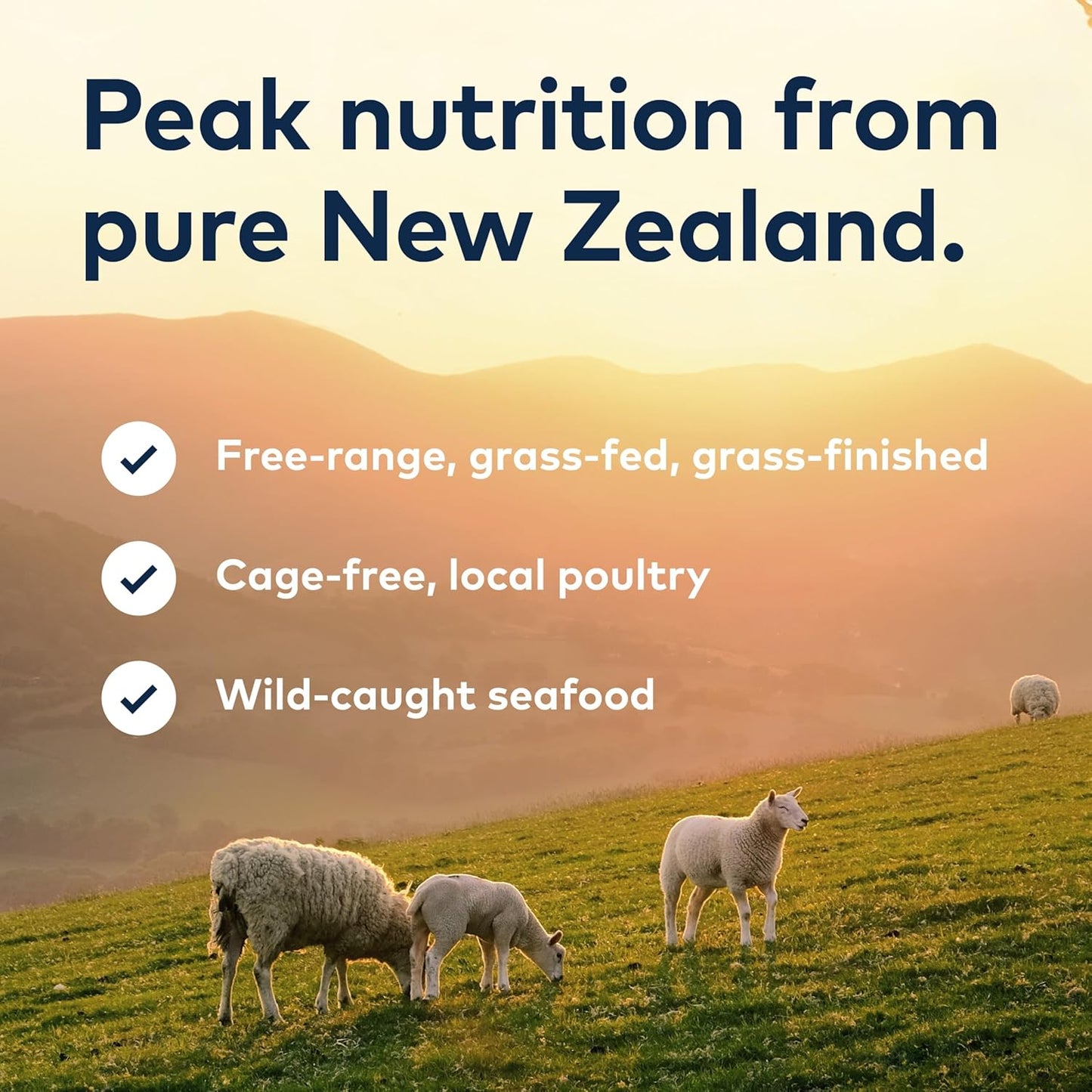 ZIWI Peak Air-Dried Cat Food Bundle High Protein, Grain Free & Limited Ingredient Superfoods (Beef, 14oz + Lamb + Chicken)