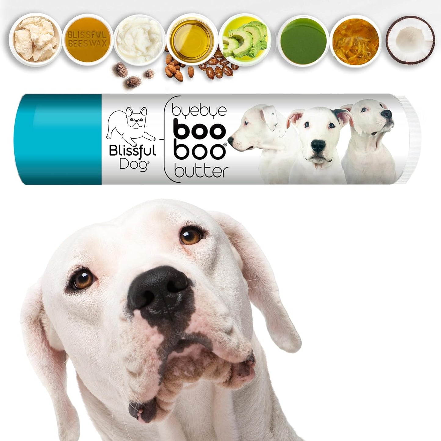 The Blissful Dog Dogo Argentino Boo Boo Butter, 0.15-Ounce