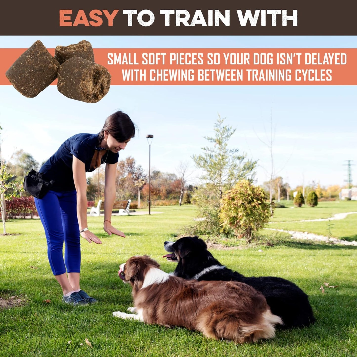 BRUTUS & BARNABY Training Treats for Dogs - Sweet Potato & Chicken - All-Natural Healthy Low Calorie Treat - Great to Use for Rewards in Training Your Puppy Or Dog