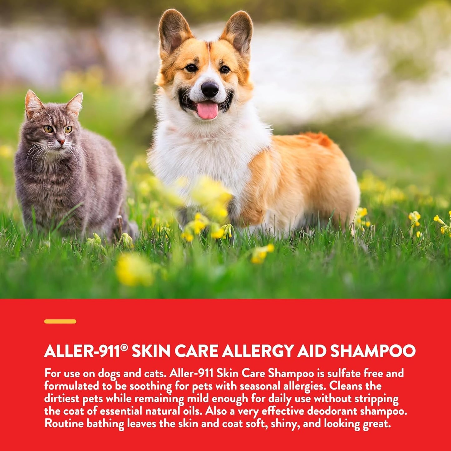 NaturVet Aller-911 Skin Care Allergy Aid Pet Shampoo with Aloe Vera – Pet Health Supplement Shampoo & Grooming Aid for Dermatitis, Dog Skin Allergies, Itching, Hot Spots, Cat Rashes – 16 Oz.