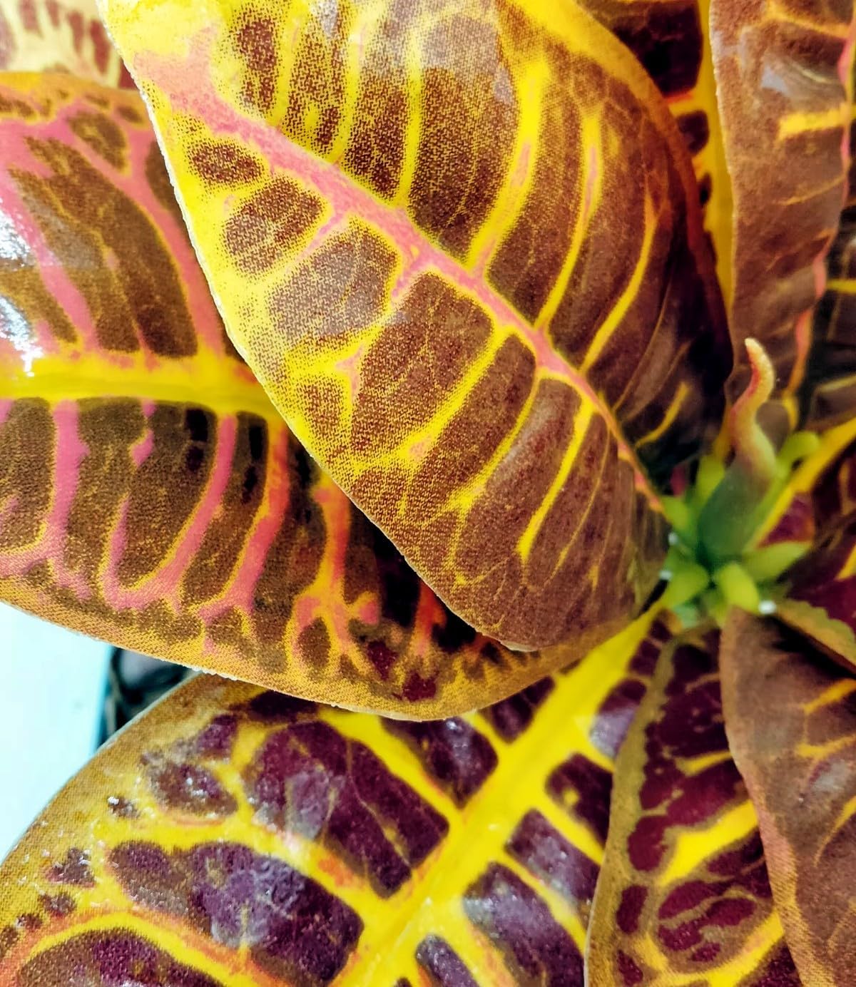 Reptile Plants Terrarium Reptile Tank Decorations for Bearded Dragon Lizard Snake Geckos Chameleon Amphibian Habitat Terrarium Decor (Gold)