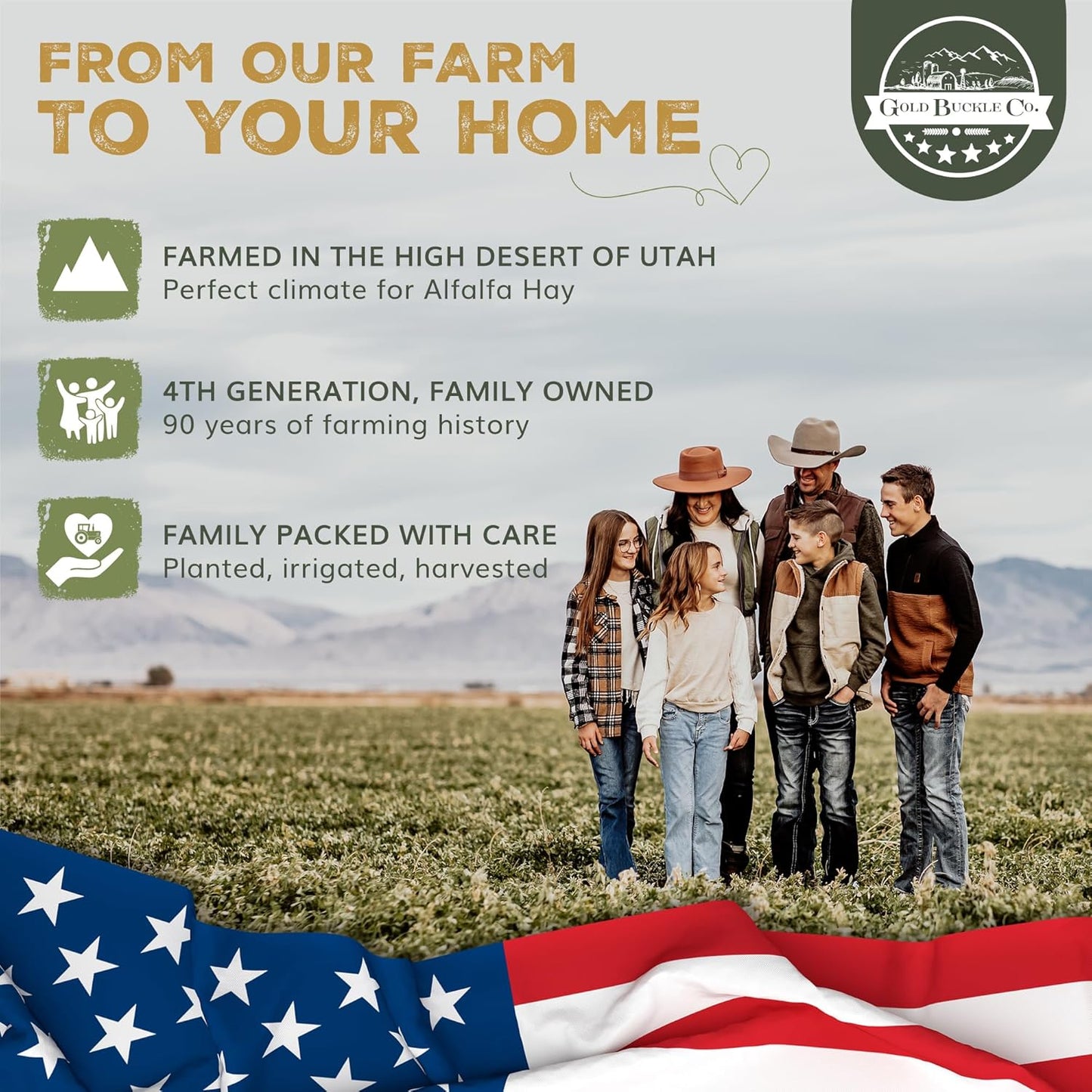 5lb Freshly Dried Organic Alfalfa Hay for Guinea Pigs, Rabbits, Chinchillas, Goats, Hamsters & Ferrets, Small Animal Food Rich in Protein & Fiber, Hand-Selected, Hand Sorted, USA Grown