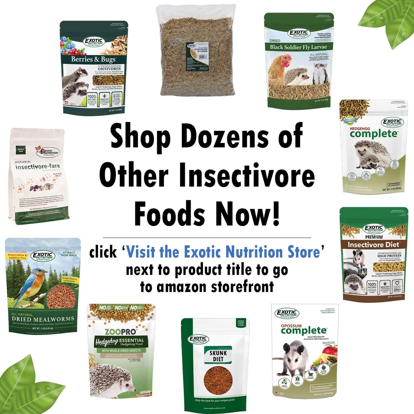 Berries & Bugs 3 lb. - All Natural High Protein High Fiber Insectivore Diet with Fruit, Gut-Loaded Insects, & Healthy Vitamins - Hedgehogs, Sugar Gliders, Skunks, Opossums & Other Insectivores