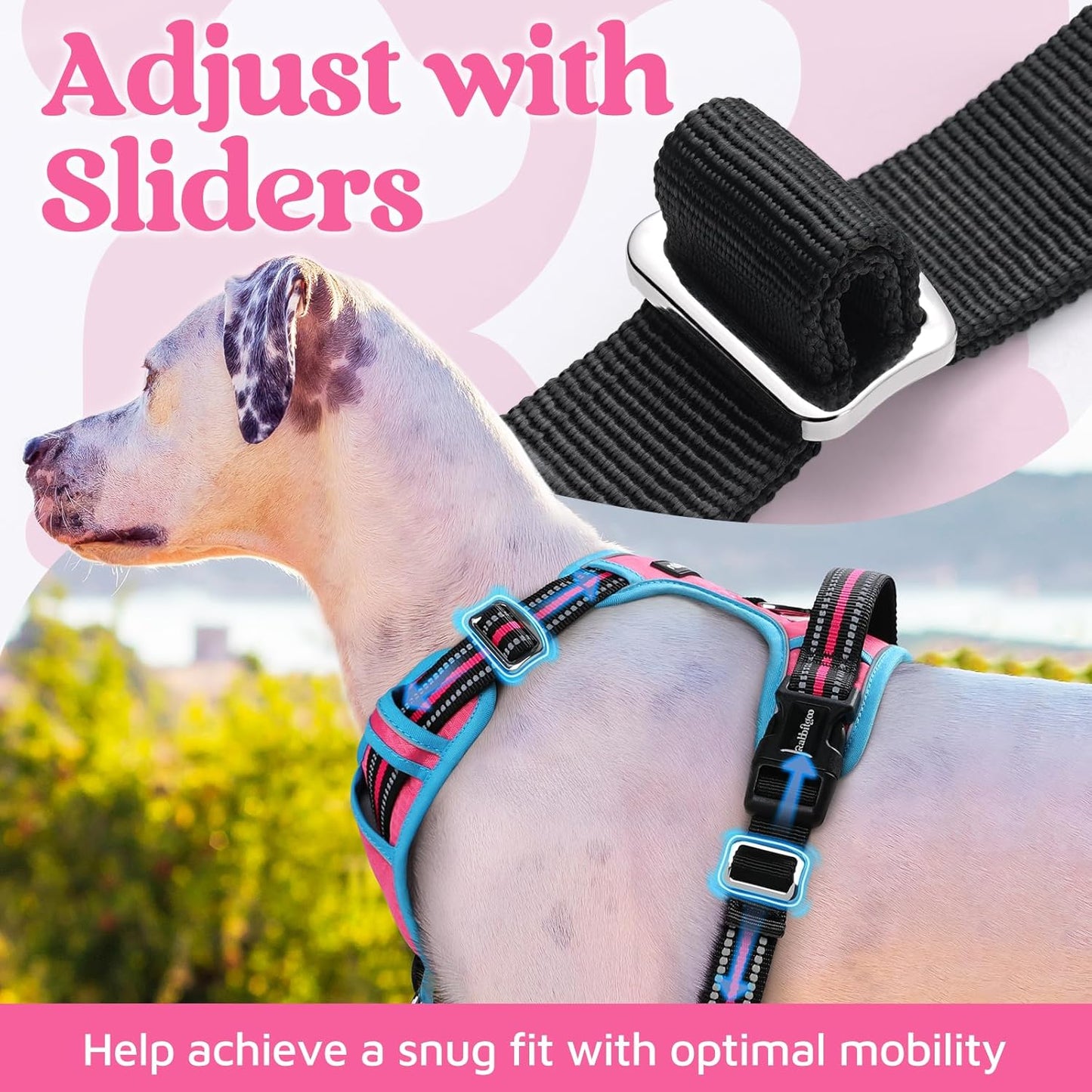 rabbitgoo Dog Harness for Large Dogs, No Pull Pet Vest with 3 Buckles, Adjustable Soft Padded Pet Harness with Easy Control Handle and Reflective Strips, Rose Pink & Blue, L
