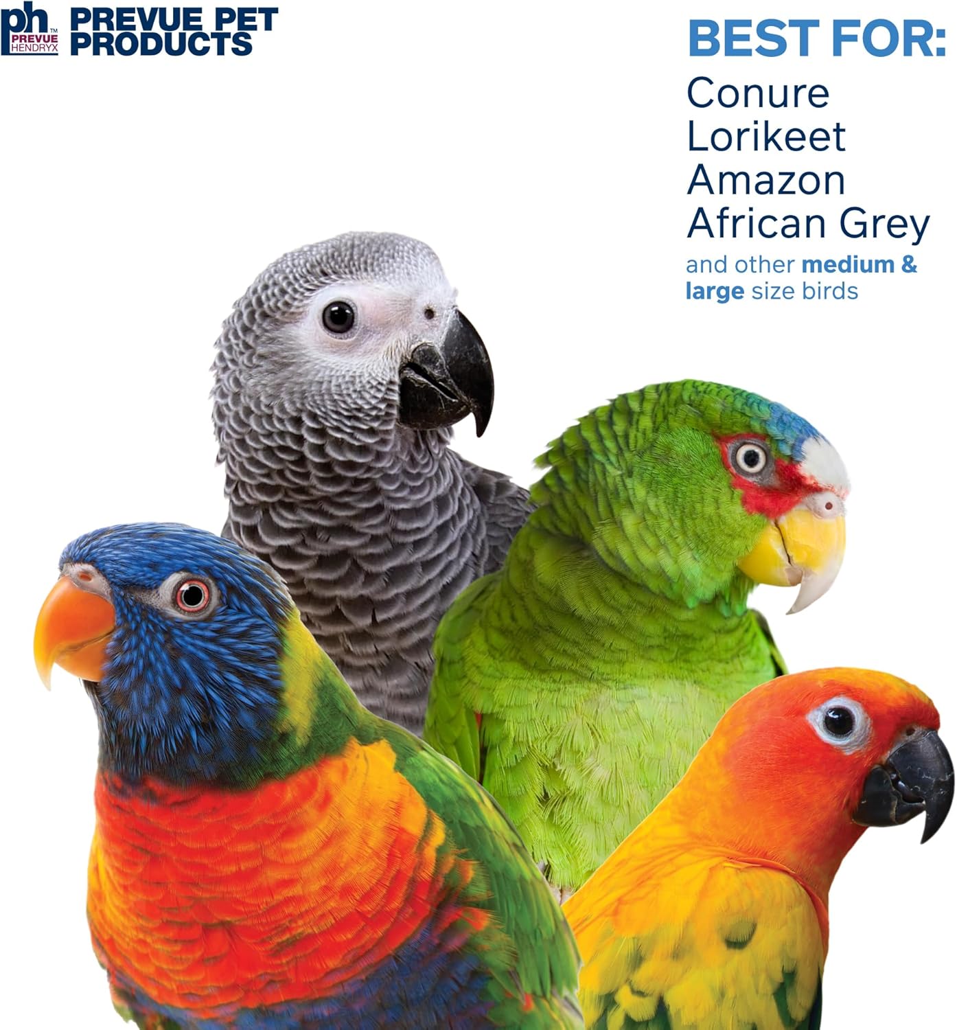 Prevue Pet Products Sink 'n Seek - Playfuls Forage & Engage Bird Toy 60250