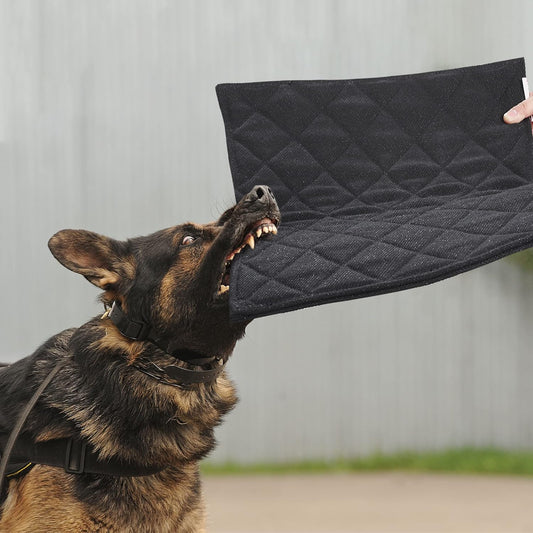 MABOZOO Indestructible Dog Bed, Chew Proof Crate Pad for Aggressive Chewers, Machine Washable Quilted Mat, Durable for Small and Medium Dogs, Black Kennel Pad (18x29 in)
