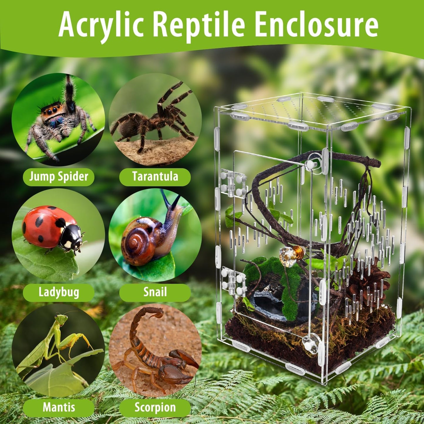 Jumping Spider Enclosure, Large Acrylic Praying Mantis Habitat, 10"*6"*6" Ventilated Insect Terrarium Cage with Front Opening Door for Small Retiles - Arboreal Tarantula, Snails, Bug, Lizard