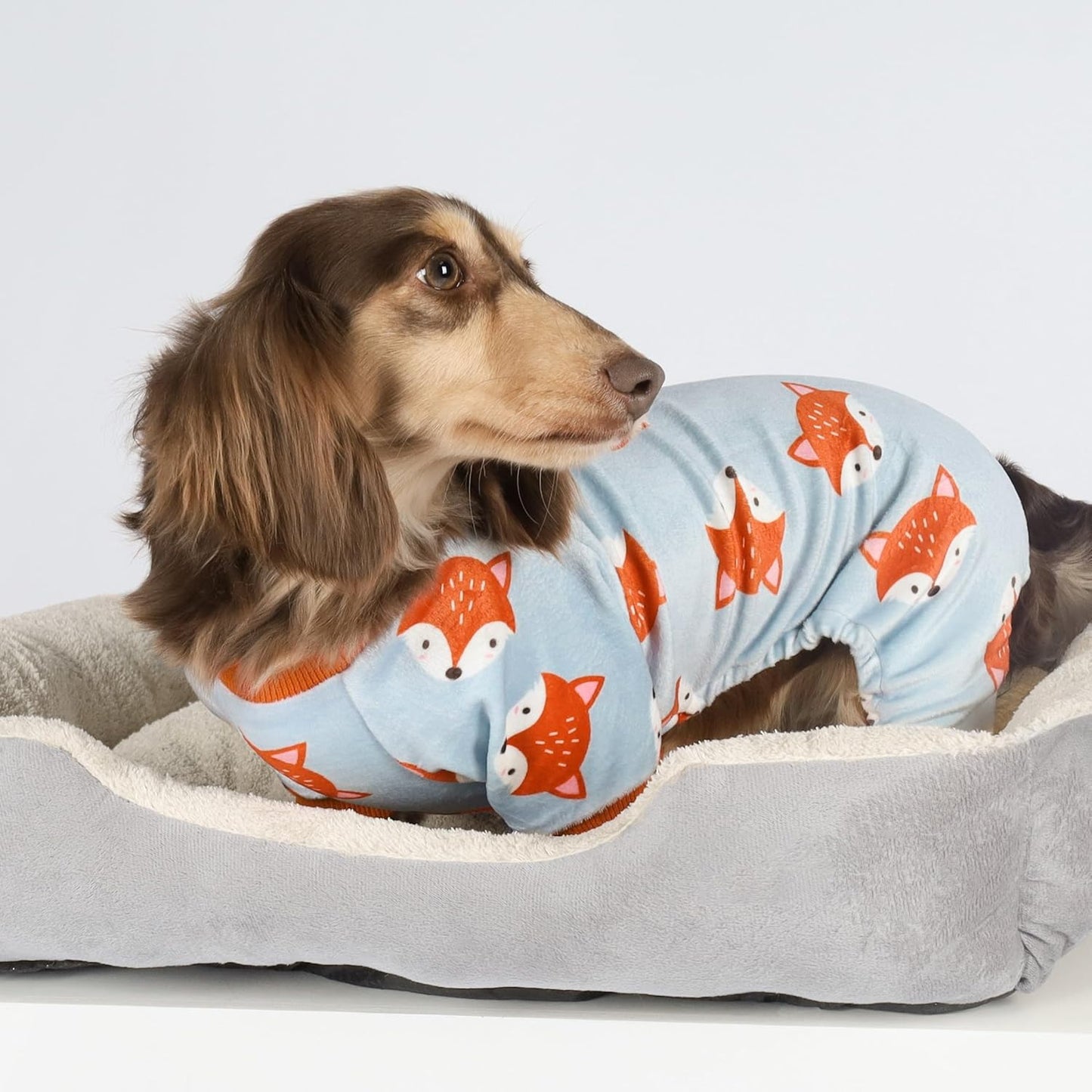 Fitwarm Funny Fox Dog Pajamas, Warm Dog Onesie, Dog Clothes for Small Dogs Girl Boy, Lightweight Velvet, Pet Outfit, Gray, Orange, XXL