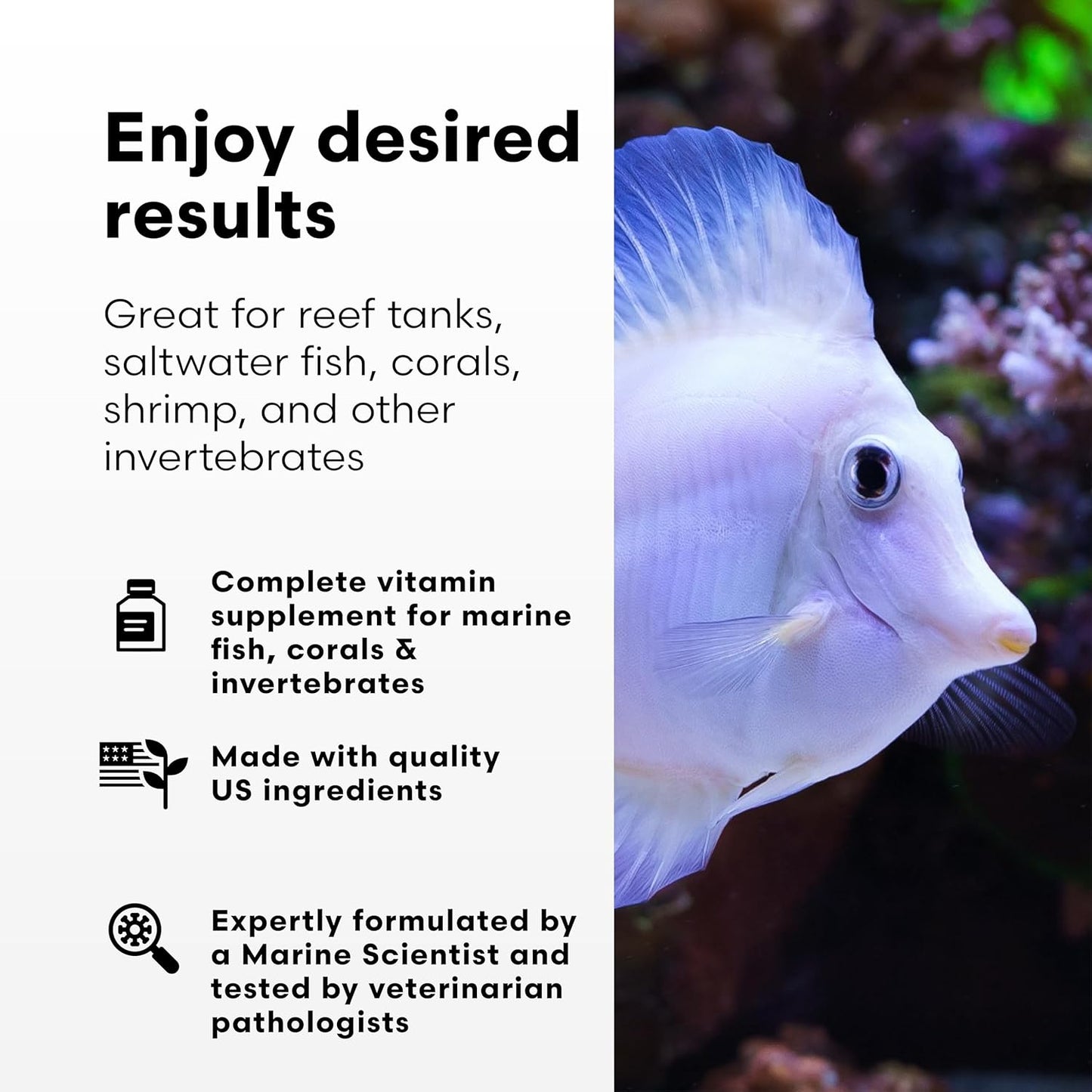 Brightwell Aquatics Vitamarin-M – Complete Vitamin Supplement for Marine Fish, Corals & Invertebrates – Supports Growth, Color & Immune Health – No Refrigeration, 2L