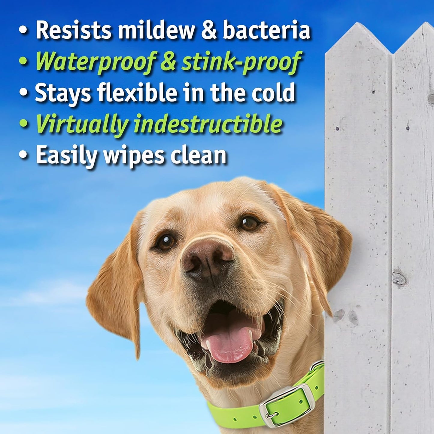 Biothane Custom Dog Collar – Waterproof, Stink-Proof Personalized Collar with Name & Phone Number – Durable, Many Sizes and Colors – Assembled in USA – Assembled in USA (Hot Pink)