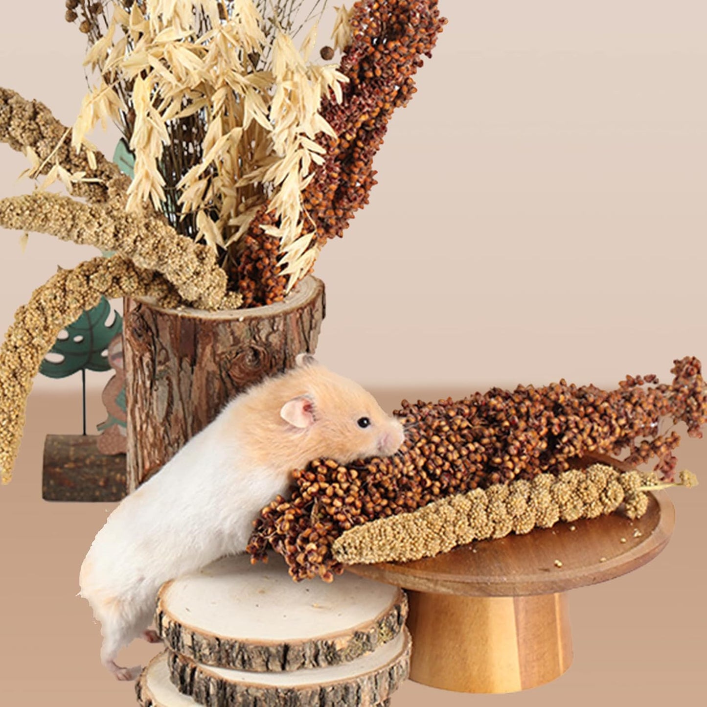 Natural Ear of Grain Flower&Herb Bedding Mate Habitat Decor, Adding Fun Hamster Accessories for Hamsters Gerbils Lemming