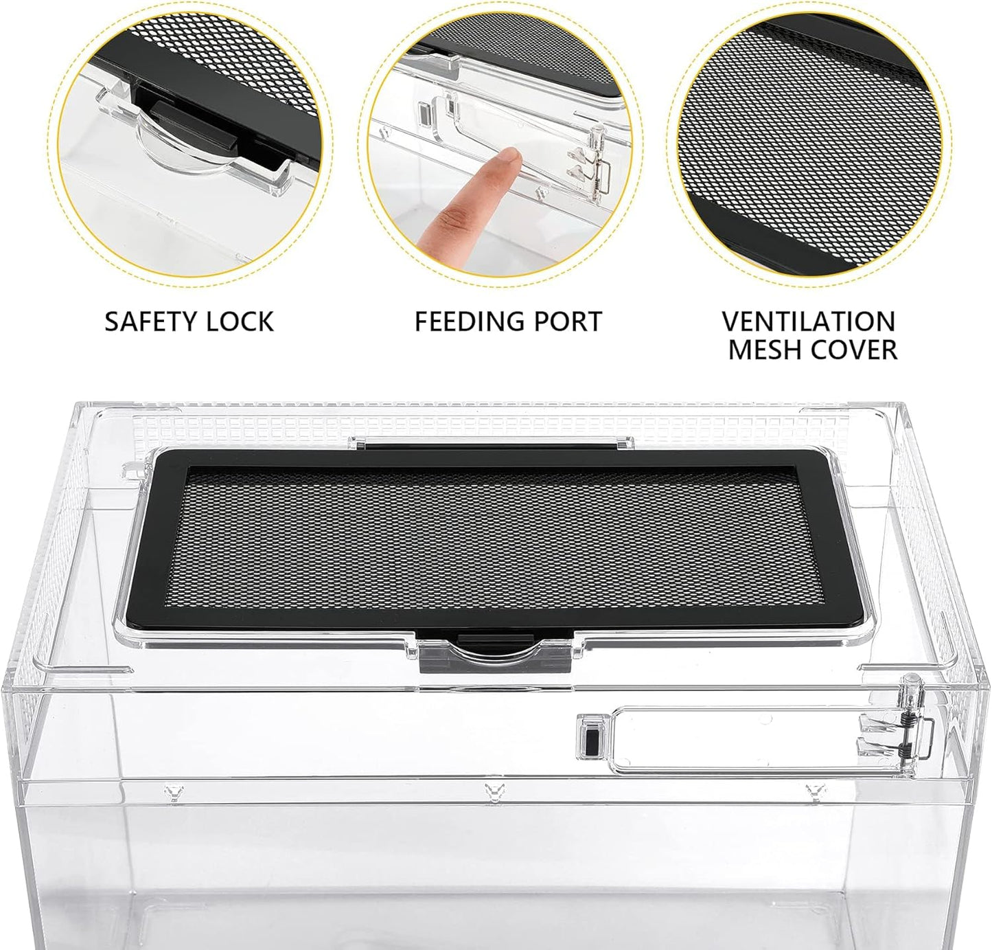 Reptile Terrarium Kit 12" x 7"x 9" Spider Tank Starter Tank, Leopard Gecko Tank, Tarantula Cage Hermit Crab Habitat, Lizard Enclosure, Insect Tank Kit, Jumping Spider Enclosure, Small Isopod Terrarium