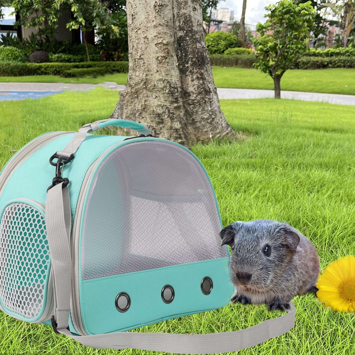 Ventilation Lizard Carrier for Bearded Dragon,Guinea Pig Carrier,Guinea Pig Carrier for 2,Reptile Travel Carrier for Lizards Sugar Glider Hedgehog Rat Parrot Birds,Airline Approved