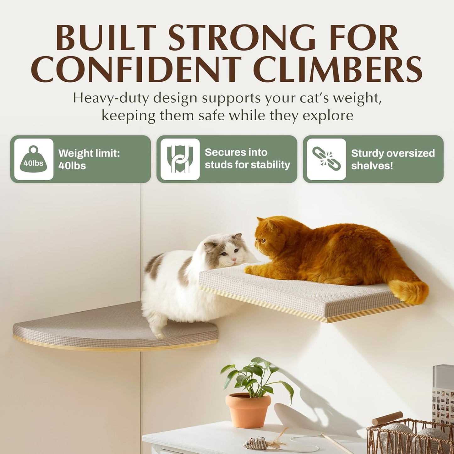 Large 9.84” CALLICO HAVEN- Corner Cat Wall Shelves, Modern Wall-Mounted Cat Furniture, Corner Wall Hammock for Cats, Space-Saving Wall Cat Tree Bed, Sturdy/Hidden Mounts, Washable Cover- Fan Shape