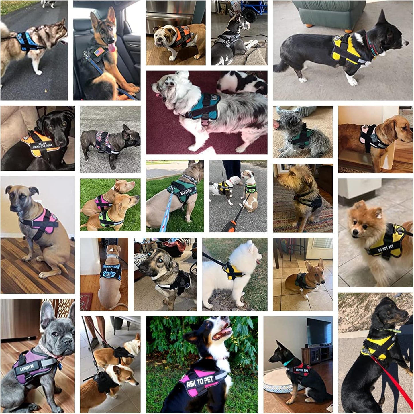 Bolux Dog Harness, No-Pull Reflective Dog Vest, Breathable Adjustable Pet Harness with Handle for Outdoor Walking - No More Pulling, Tugging or Choking (Purple, XL)