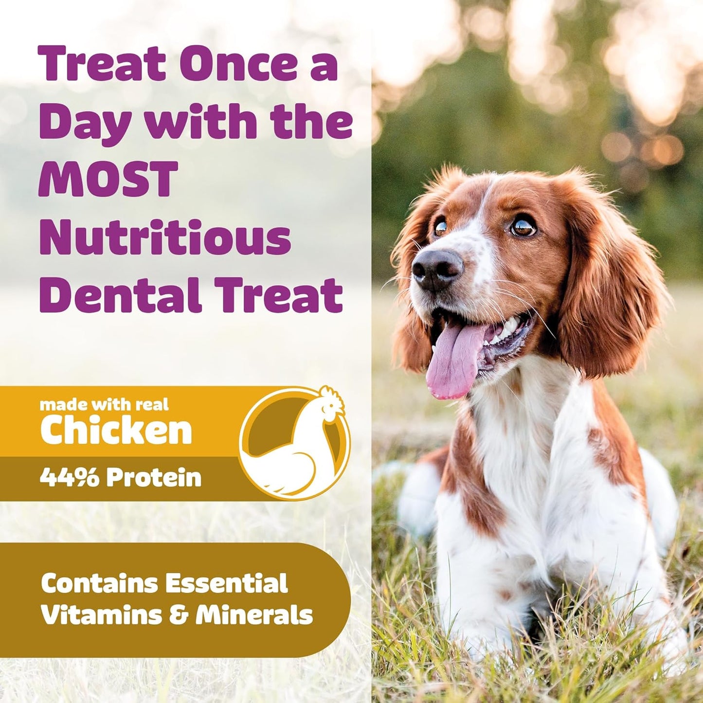 Dog Dental Treats – Vet VOHC Approved – Delicious Chicken Protein – Removes Tartar with Cleaning Comb Shape – Dental Dog Treats for Small Dogs (24oz, 42 Count)
