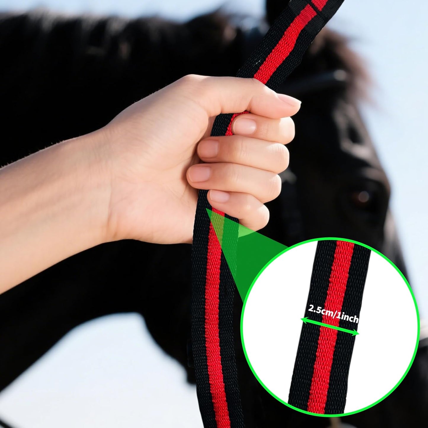 Lunge Line for Horse, Premium Equine Lunge Line with Swivel Bolt Snap for Accurate Equestrian Training, Competition, and Daily Use, 26 ft (8 Meters)