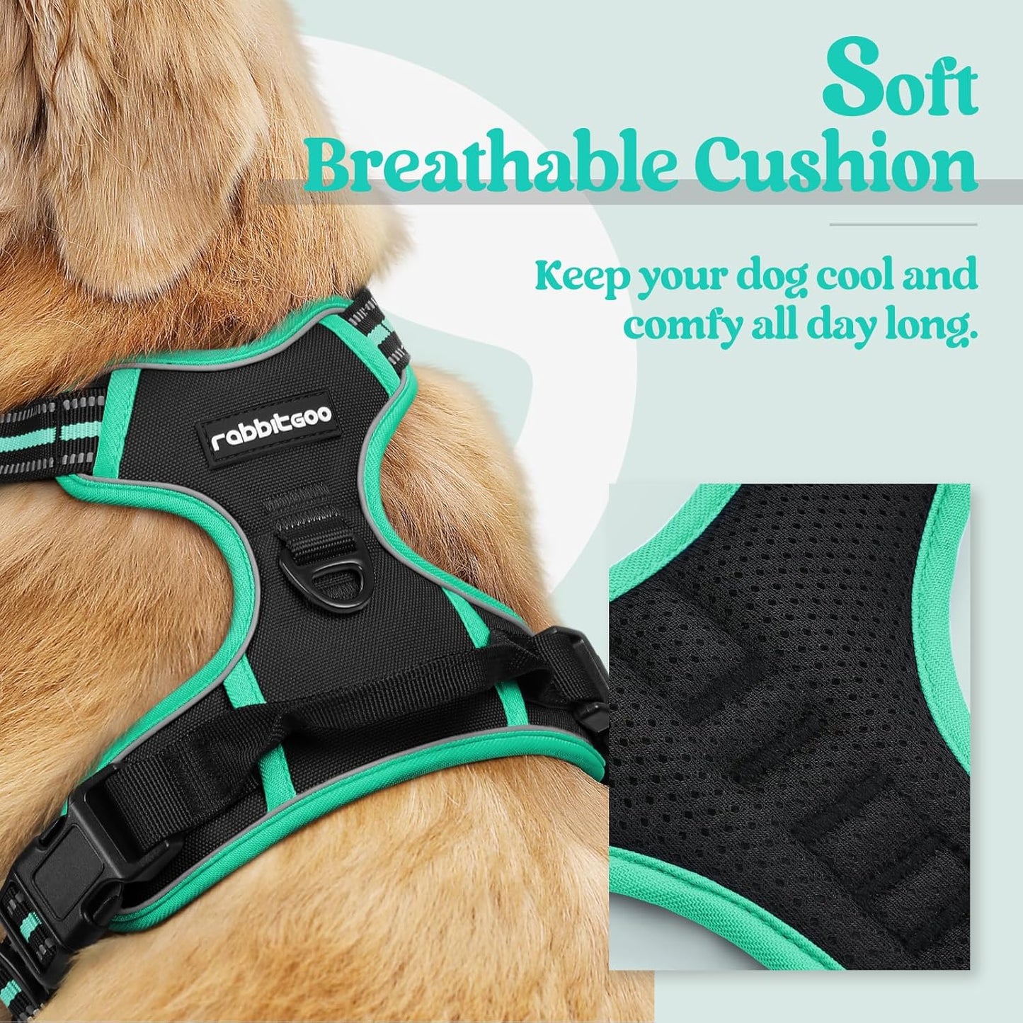 rabbitgoo Dog Harness No Pull with 2 Leash Clips, Adjustable Soft Padded, Reflective Oxford No Choke Pet Vest with Easy Control Handle for Large Dogs, Black & Turquoise, L