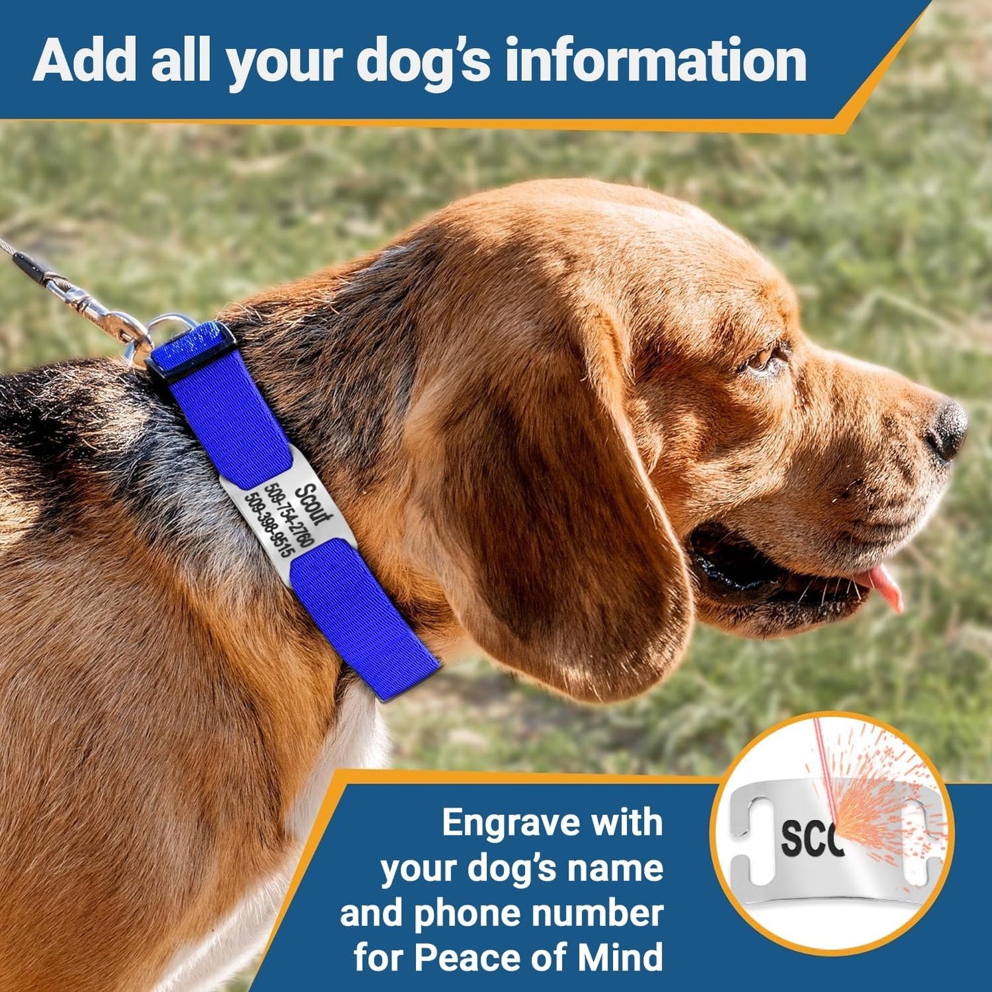 GoTags Personalized Dog Collar with Nameplate, Adjustable Dog Collar with Custom Engraved Slide On Pet ID Tag in Stainless Steel, Silent, No Noise Dog Tag (Light Blue, X-Small)