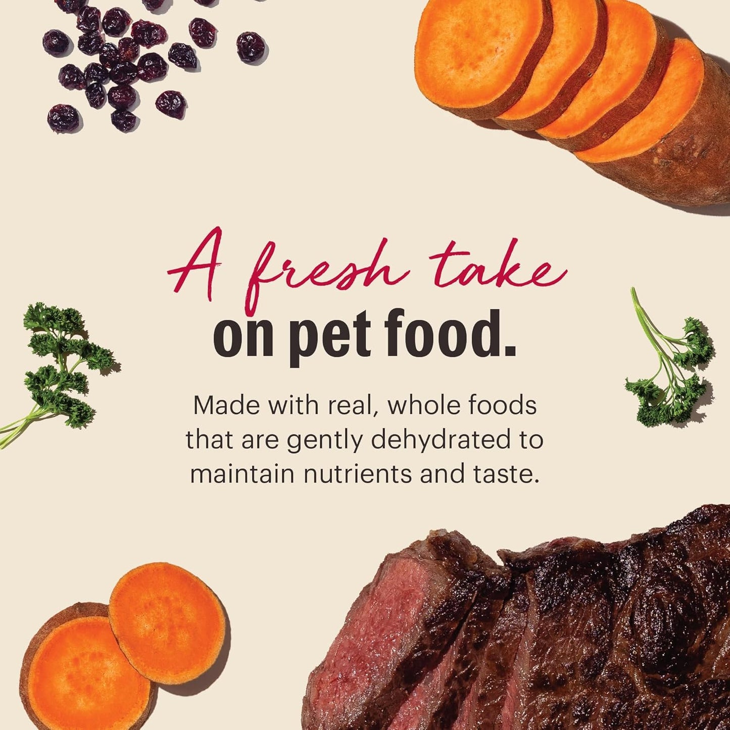 The Honest Kitchen Wholemade™ Grain Free Beef Dog Food, 10 lb Box