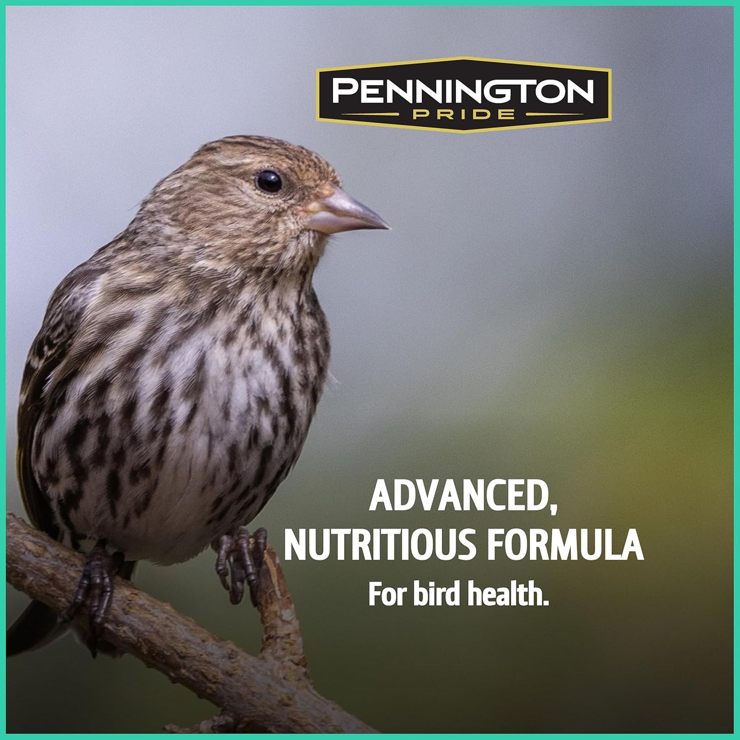 Pennington Pride Wild Finch Blend, Wild Bird Seed for Outside Feeders, Special Mix for a Variety of Musical & Colorful Birds, Great to Feed Year-Round, 10-lb. Bag