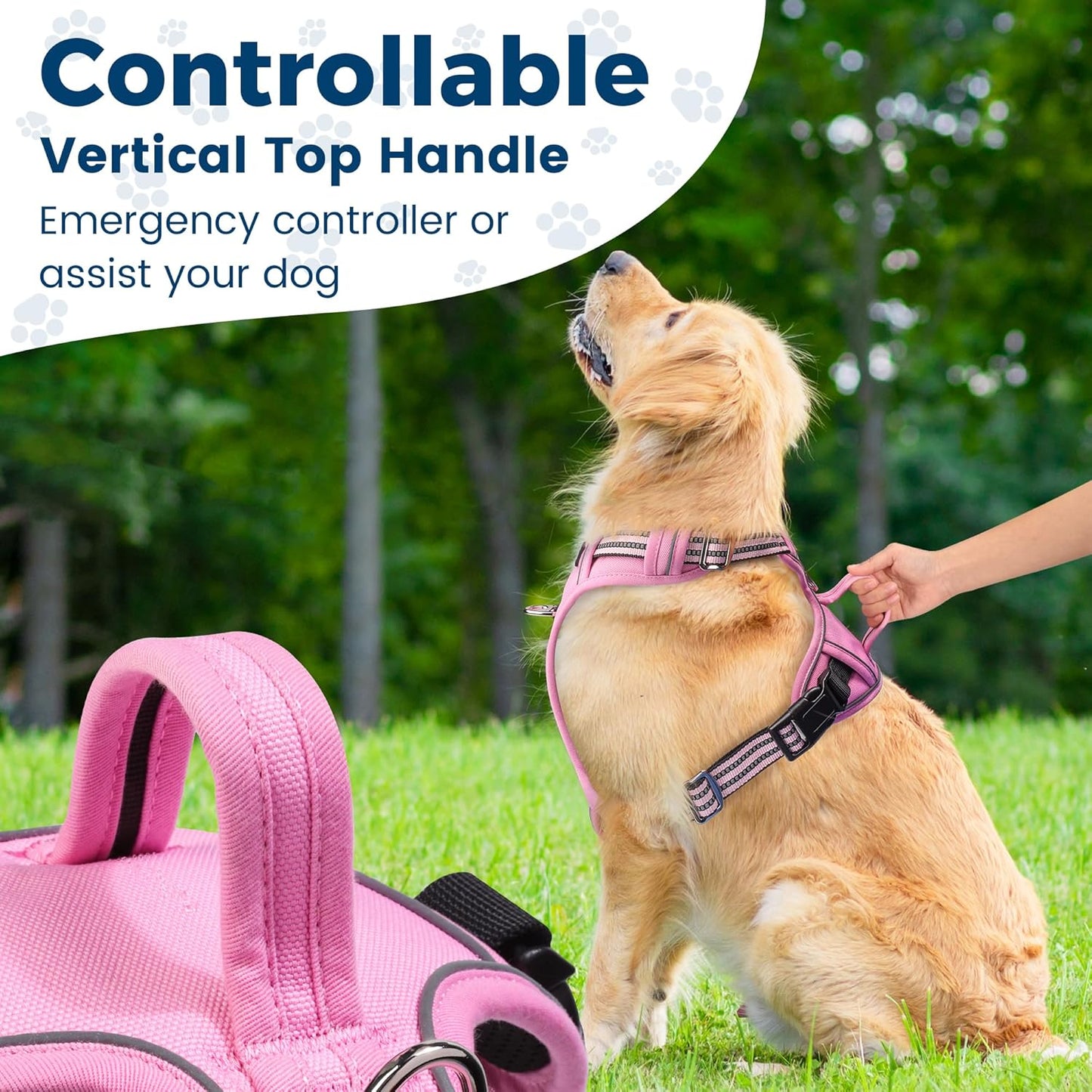 Funfox Dog Harness No Pull, Adjustable Pet Vest Harness, Super Soft Material with Vertical Handle Easy Control, Reflective Night Walking, 2 Leash Clips for Small Sized Dogs, Pink, S