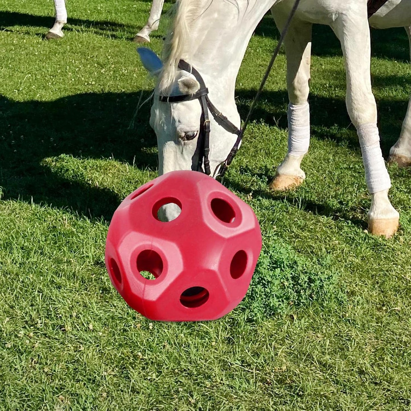 Cute 15.7" Horse Treat Ball, Carrot Feeding Toy Ball Multifunctional Hanging Treat Snack Ball for Horse Stable Stall Paddock Rest, Red