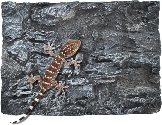 Reptile Tank Background Board Rock Terrarium Cork Background Board 3D Wall Backdrop Aquarium DéCor Backgrounds Amphibian Habitat Decoration for Lizards Leopard Gecko Bearded Dragons Turtle