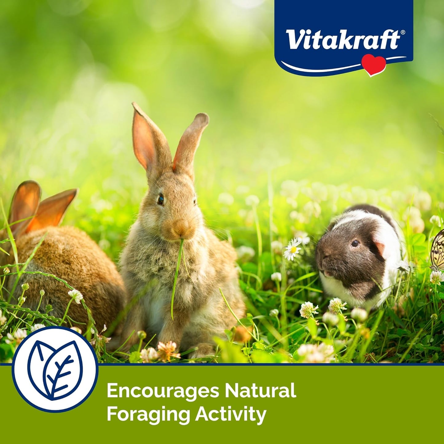 Vitakraft Berry Pie and Harvest Pie Small Animal Treat 8 Pack