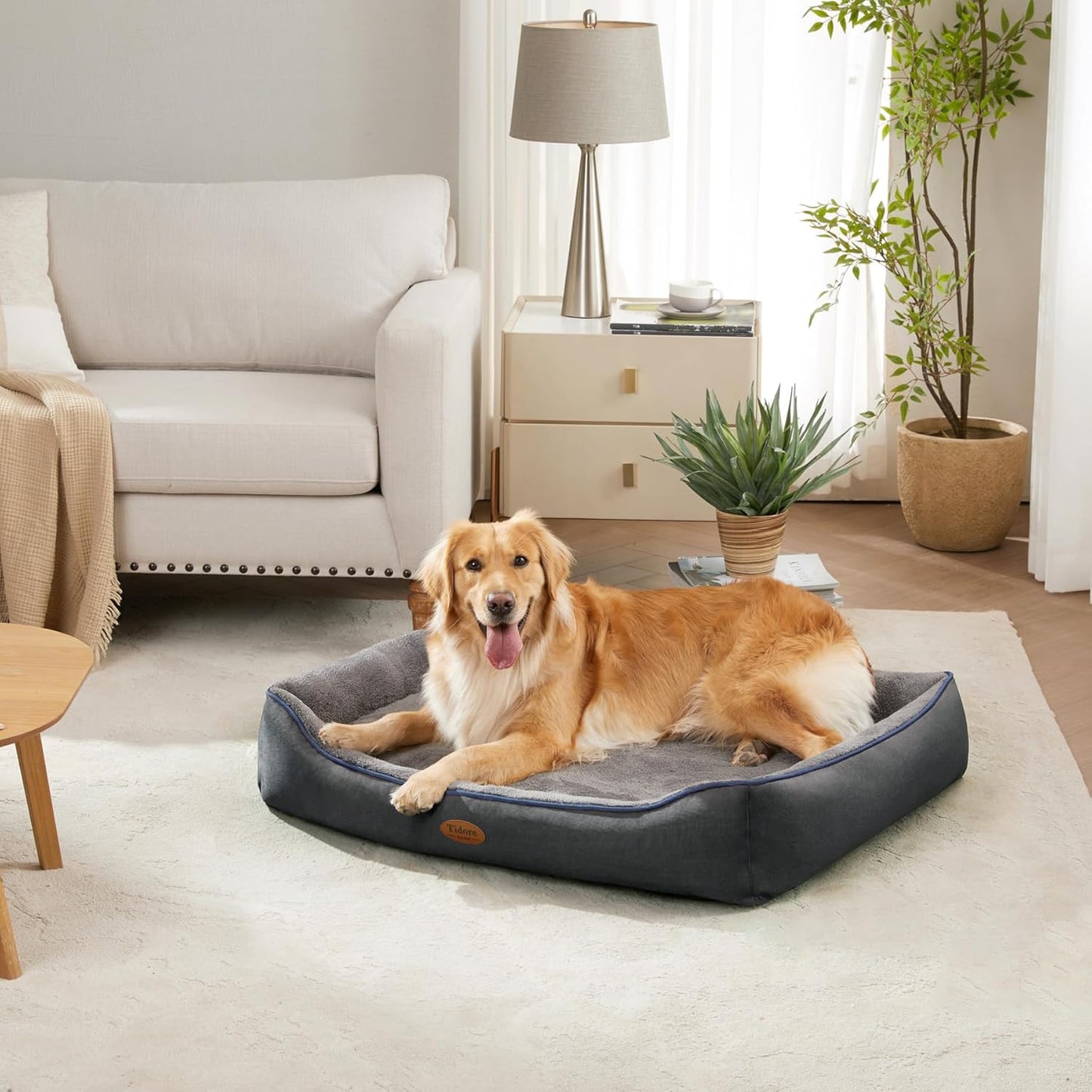 Orthopedic Dog Beds for Medium Dogs, Durable Egg Crate Foam Sofa Dog Bed wit Washable Removable Cover,Waterproof Lining,Pet Bed for Large Dogs (Dark Grey-Velvet, 39.4" L x 31.5" W x 7.4" Th)