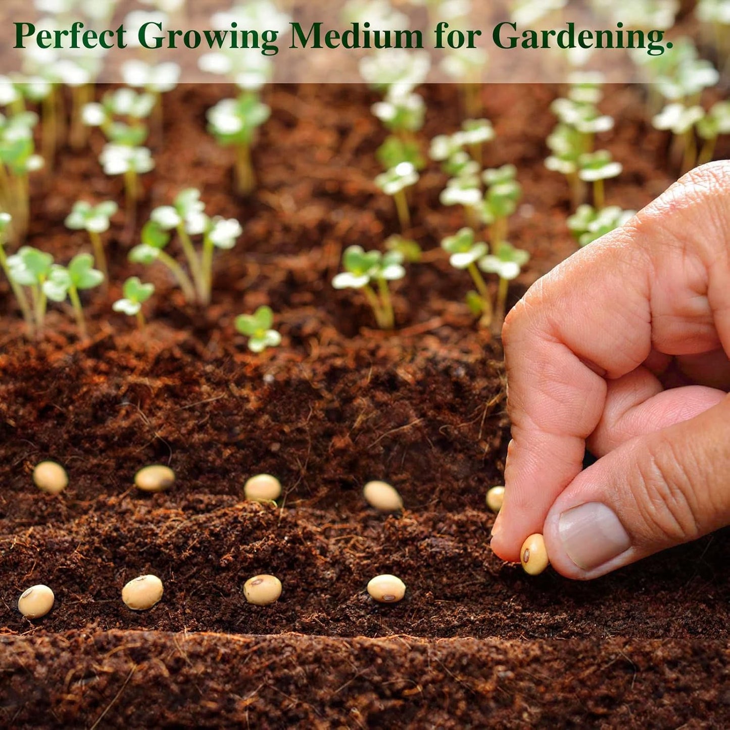 ZeeDix Compressed Coco Coir Brick for Plants, Premium Coconut Coir Bricks Potting Soil Mix, Natural Coconut Husk Coco Peat Brick with Low EC and pH Balance for Gardening Plants Flower Herbs