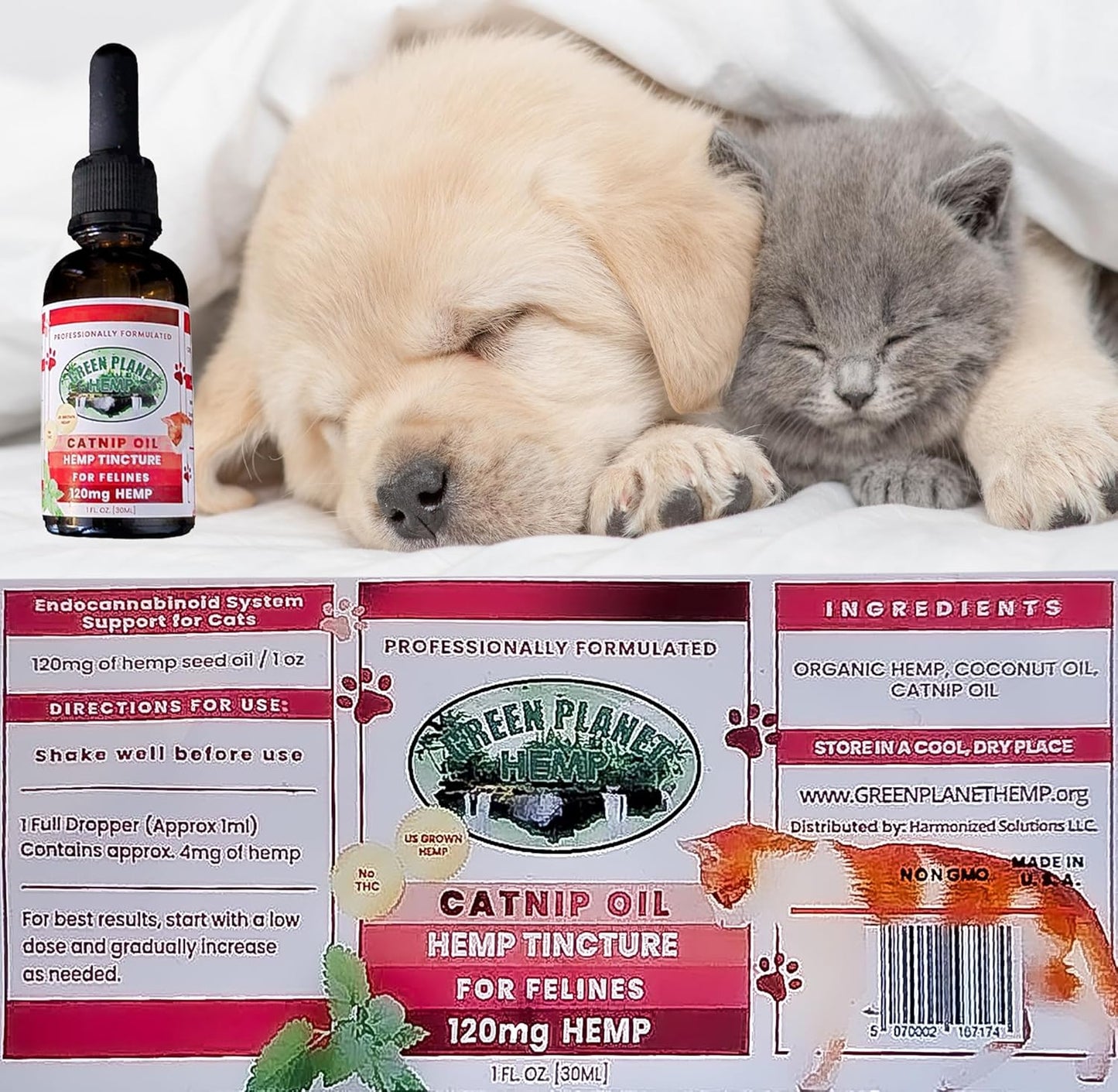 Pet Hemp Oil | Dogs and Cats | Catnip Oil | Green Planet Hemp | 120MG Organic Tincture | 100% Natural | Hip, Joint, and Muscle Support for Your Pet | Aids with Anxiety,Stress, and Pain