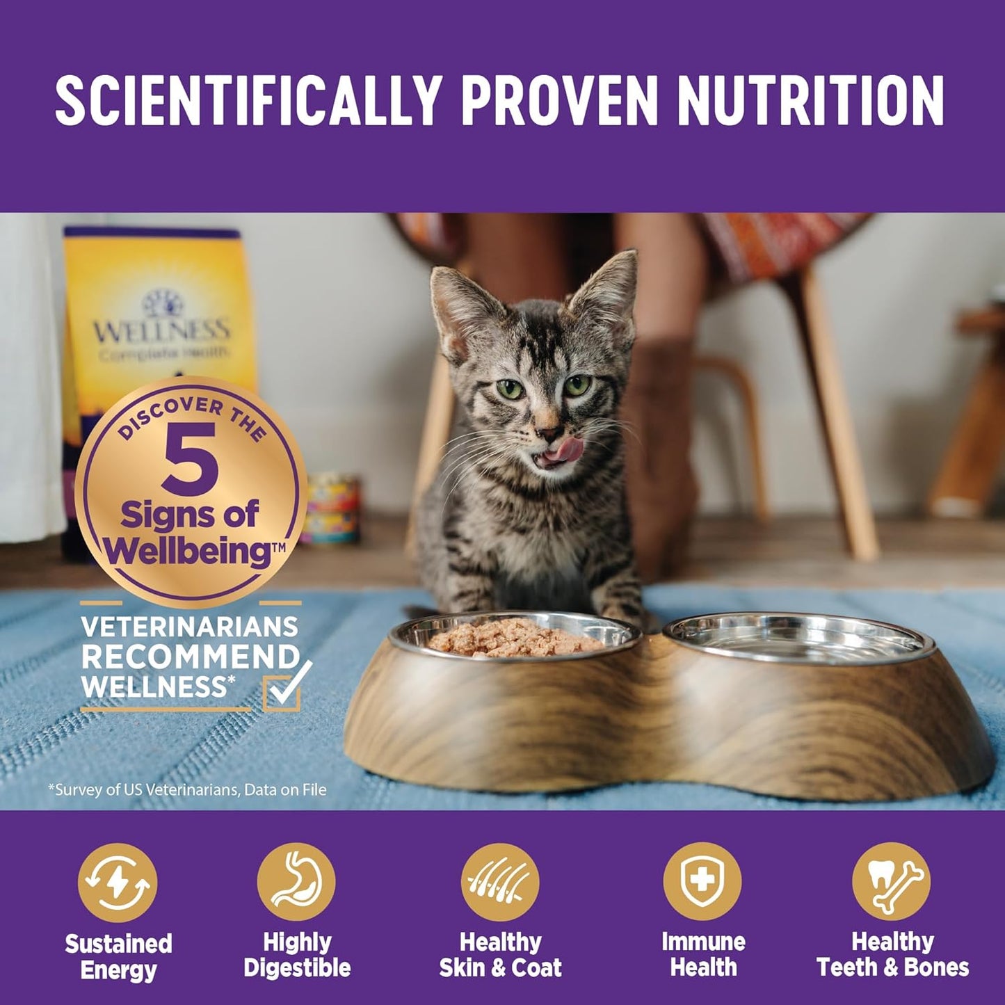 Wellness Complete Health Cubed Adult Wet Cat Food, Natural, Protein-Rich, Grain Free, 5.5 Ounce, 24 Pack, (Tuna Entrée)