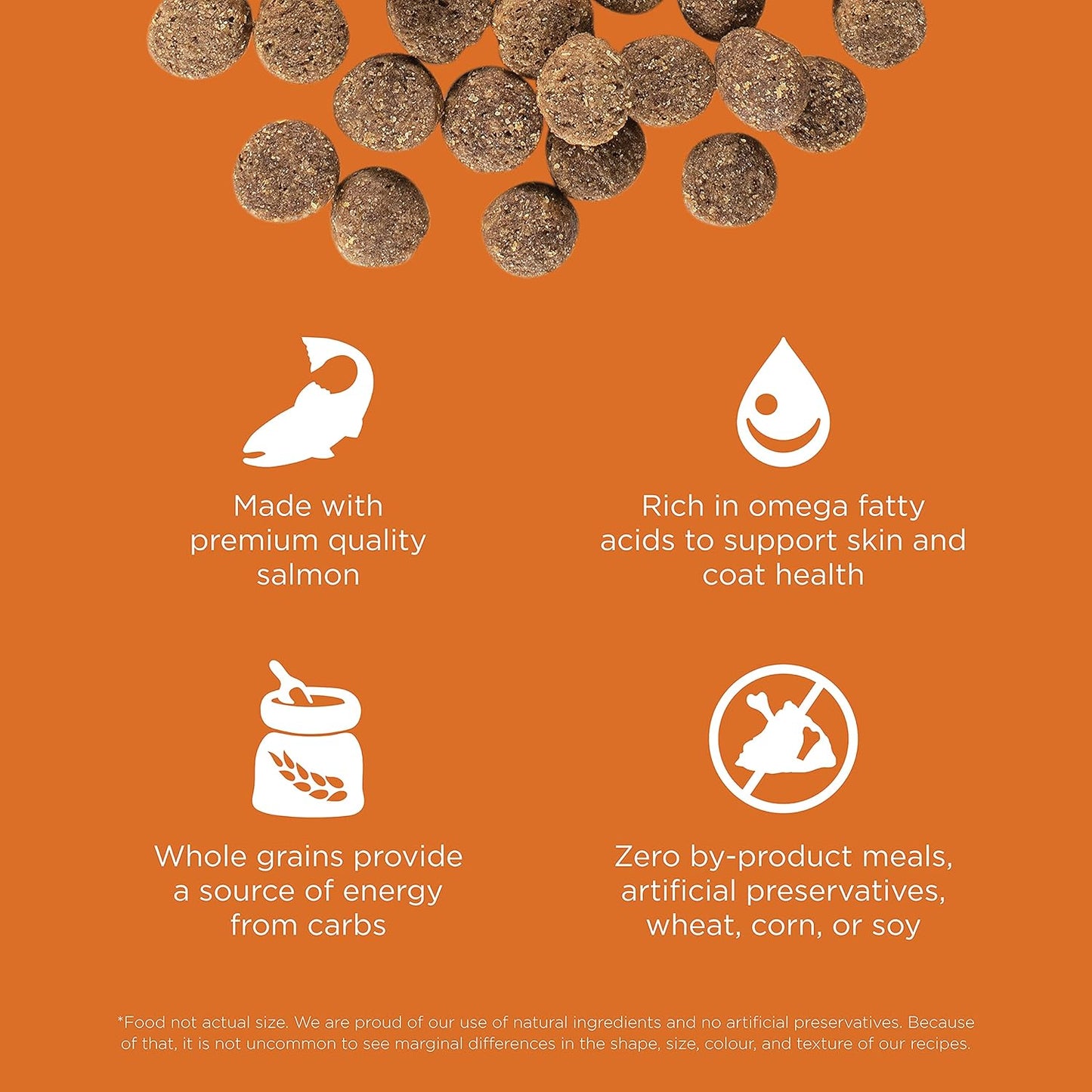 Go! Solutions Skin + Coat Care, Dry Dog Food, Salmon Recipe with Grains, 12 lb Bag