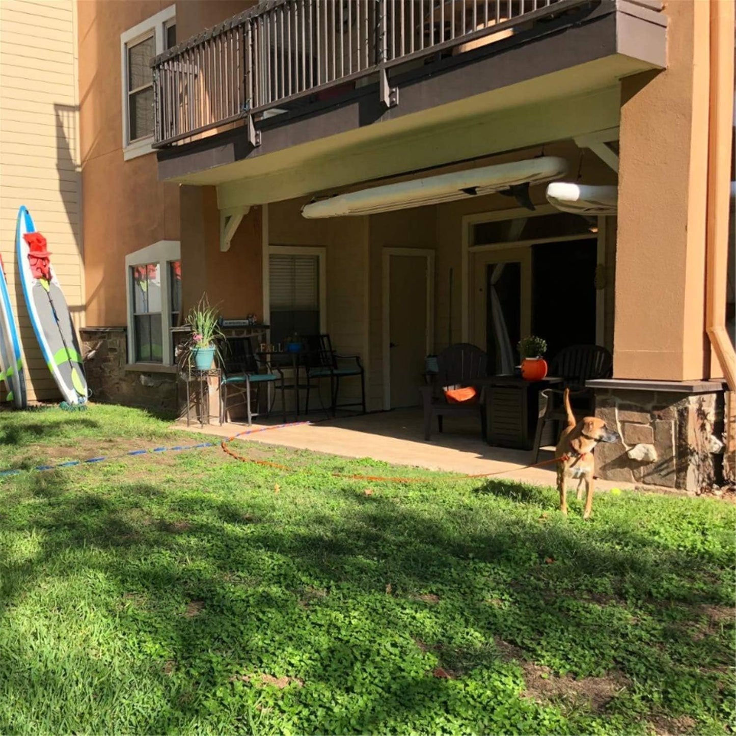 Dog/Puppy Obedience Recall Training Agility Lead - 15ft 20ft 30ft 40ft 50ft Training Leash - Great for Play, Camping, or Backyard (Rainbow, 20 Feet)