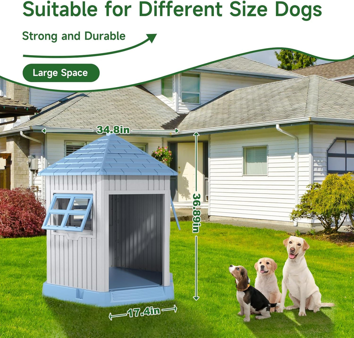 Vixzen Large Outdoor Dog House,Durable Water Resistant Resin Dog House,Doghouse for Small to Large Dogs Indoor or Outside,with Openable Windows and Elevated Floor,Blue