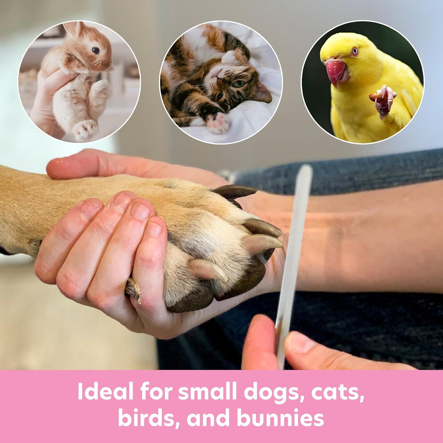 Bona Fide Beauty Pet Nail File with Swarovski Paw Print, Small Dog File Made from Genuine Czech Glass - Quiet, Gentle Claw Trimmer