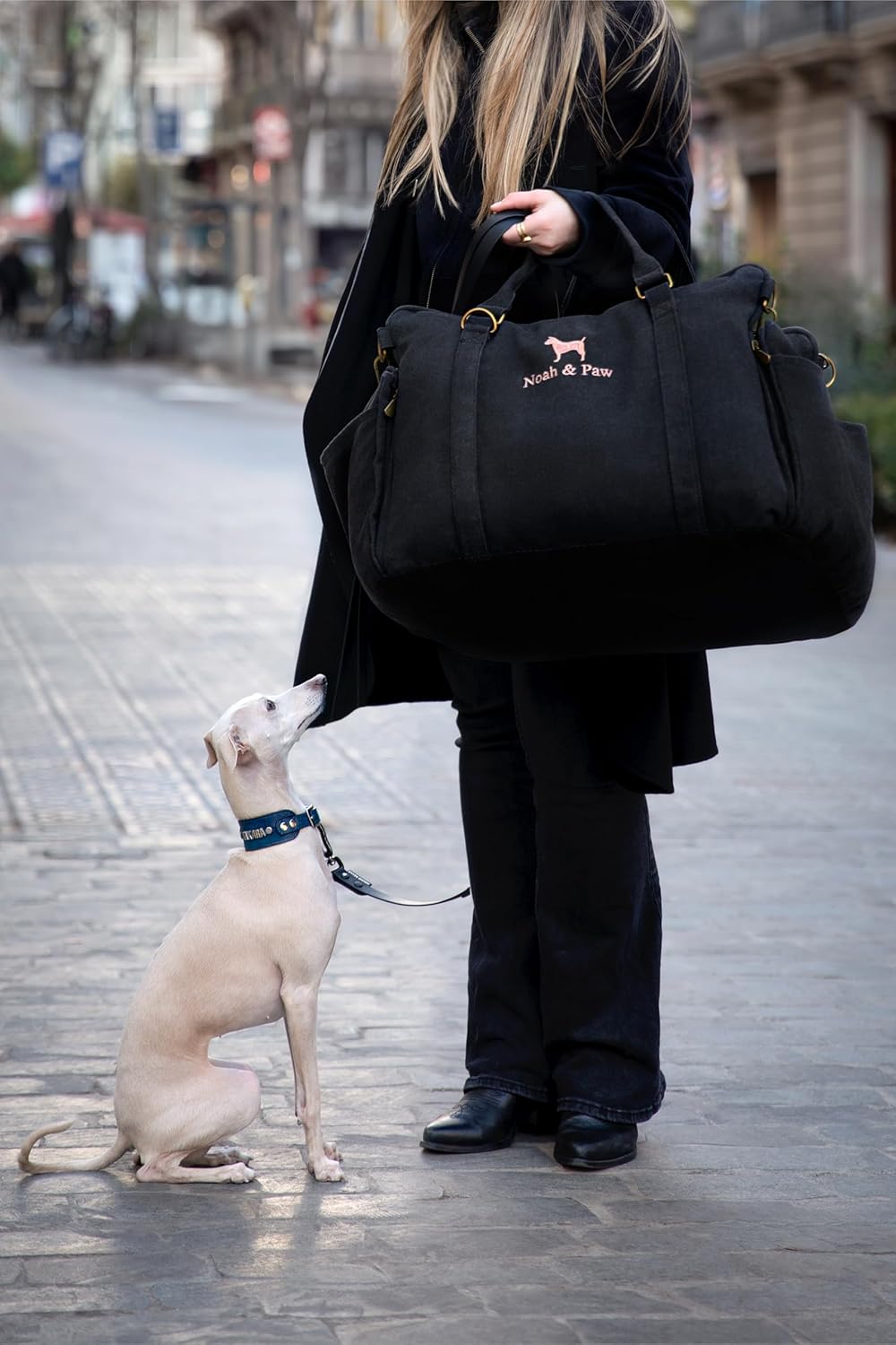 Noah & Paw Dog Car Seat Carrier, Small Dog Car Seat for Small Medium Pets with Harness Clip, 4X Safety Feature, Booster Travel Bed, Waterproof Washable, Orthopedic Foam Filling, Canvas Collection